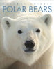 Amazing Animals: Polar Bears Bodden, Valerie