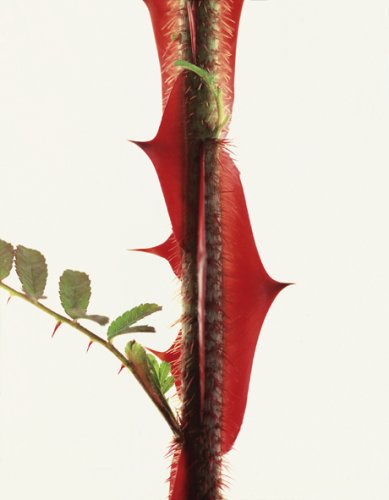 PT01