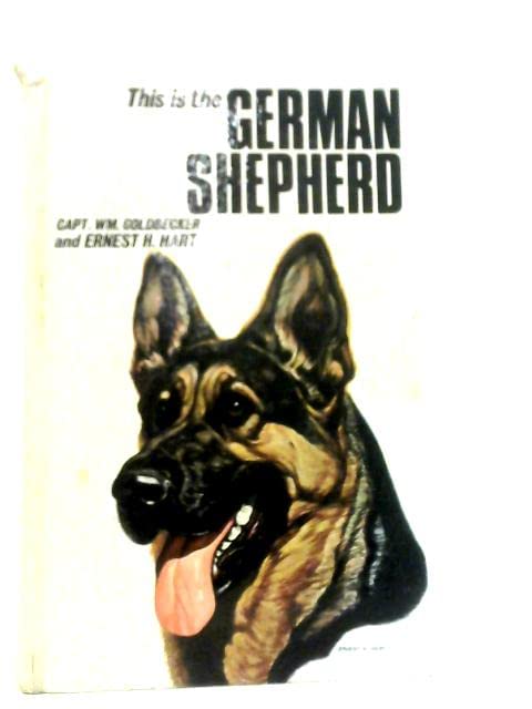 This is the German shepherd,