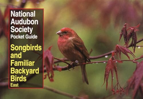 National Audubon Society Pocket Guide to Songbirds and Familiar Backyard Birds: Eastern Region: East National Audubon Society Pocket Guides [Paperback] Wayne R Petersen