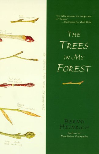 The Trees in My Forest [Paperback] Heinrich, Bernd