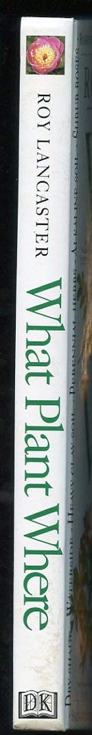 PT02
