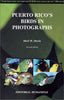 Puerto Ricos Birds in Photographs Oberle, Mark W