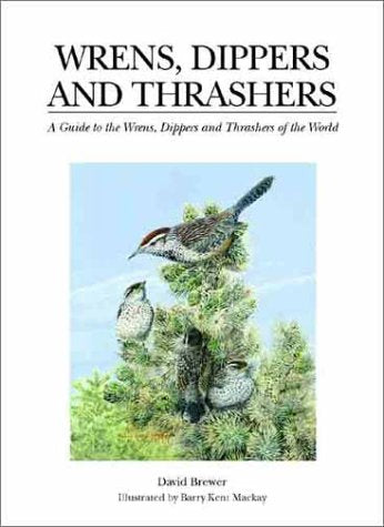 Wrens, Dippers, and Thrashers: A Guide to the Wrens, Dippers, and Thrashers of the World Brewer, Prof David; Brewer, Dave; McMinn, Sean and MacKay, Mr Barry Kent