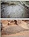 Images on Stone: The Prehistoric Rock Art of the Colorado Plateau Plateau Flagstaff, Ariz : 1939, Vol 55, No 2, [Paperback] Donald E Weaver,Jr