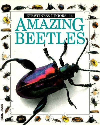 AMAZING BEETLES 14 Eyewitness Juniors Still, John