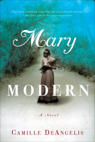 Mary Modern: A Novel [Hardcover] DeAngelis, Camille