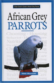 A New Owner's Guide to African Grey Parrots