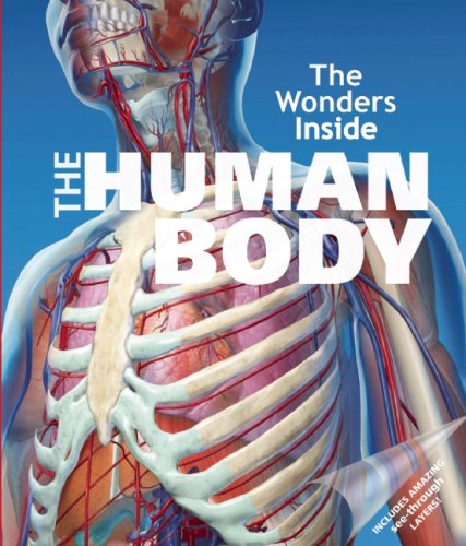 The Human Body The Wonders Inside Stradling, Jan