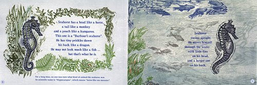 Sea Horse: The Shyest Fish in the Sea (Read and Wonder)
