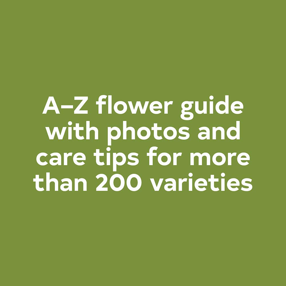 Floret Farm's A Year in Flowers: Designing Gorgeous Arrangements for Every Season