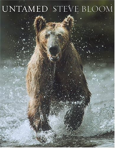 MAIN