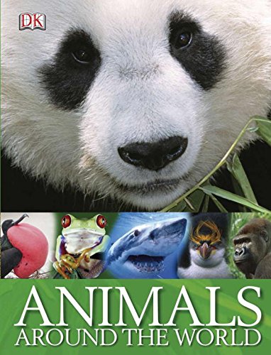 Animals Around the World DK Publishing