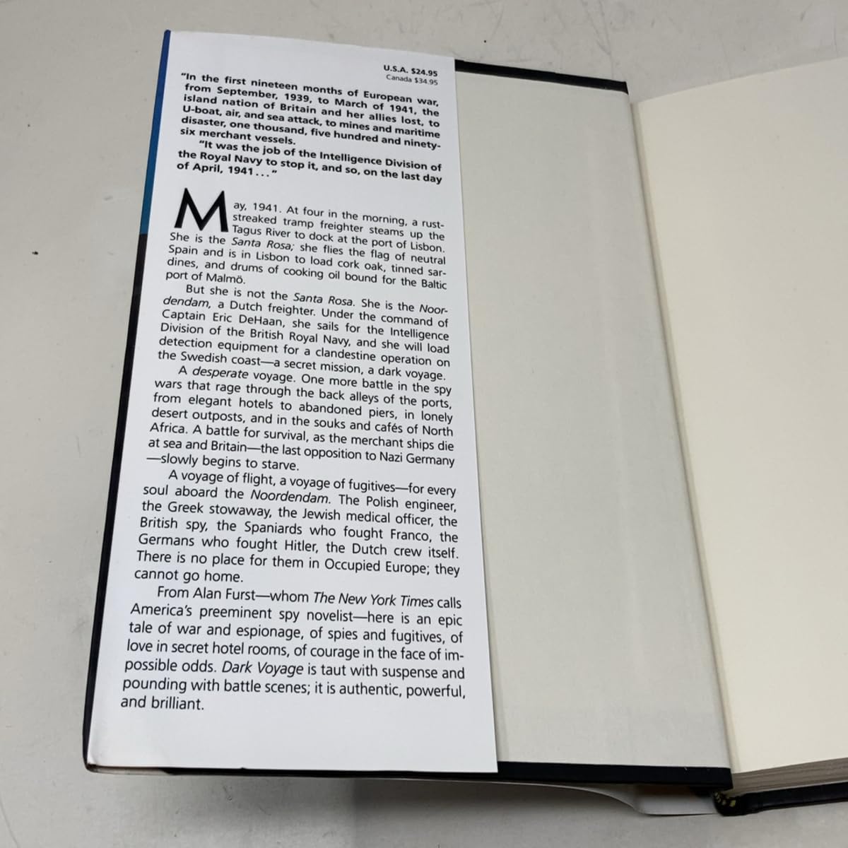 Dark Voyage: A Novel