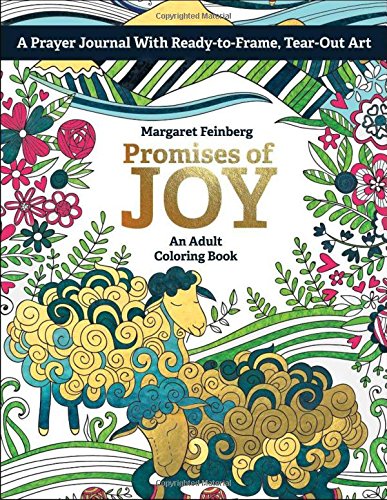 Promises of Joy: An Adult Coloring Book Feinberg, Margaret