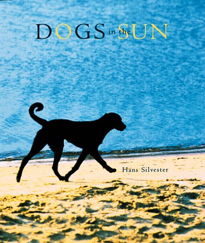 Dogs in the Sun Hans Silvester