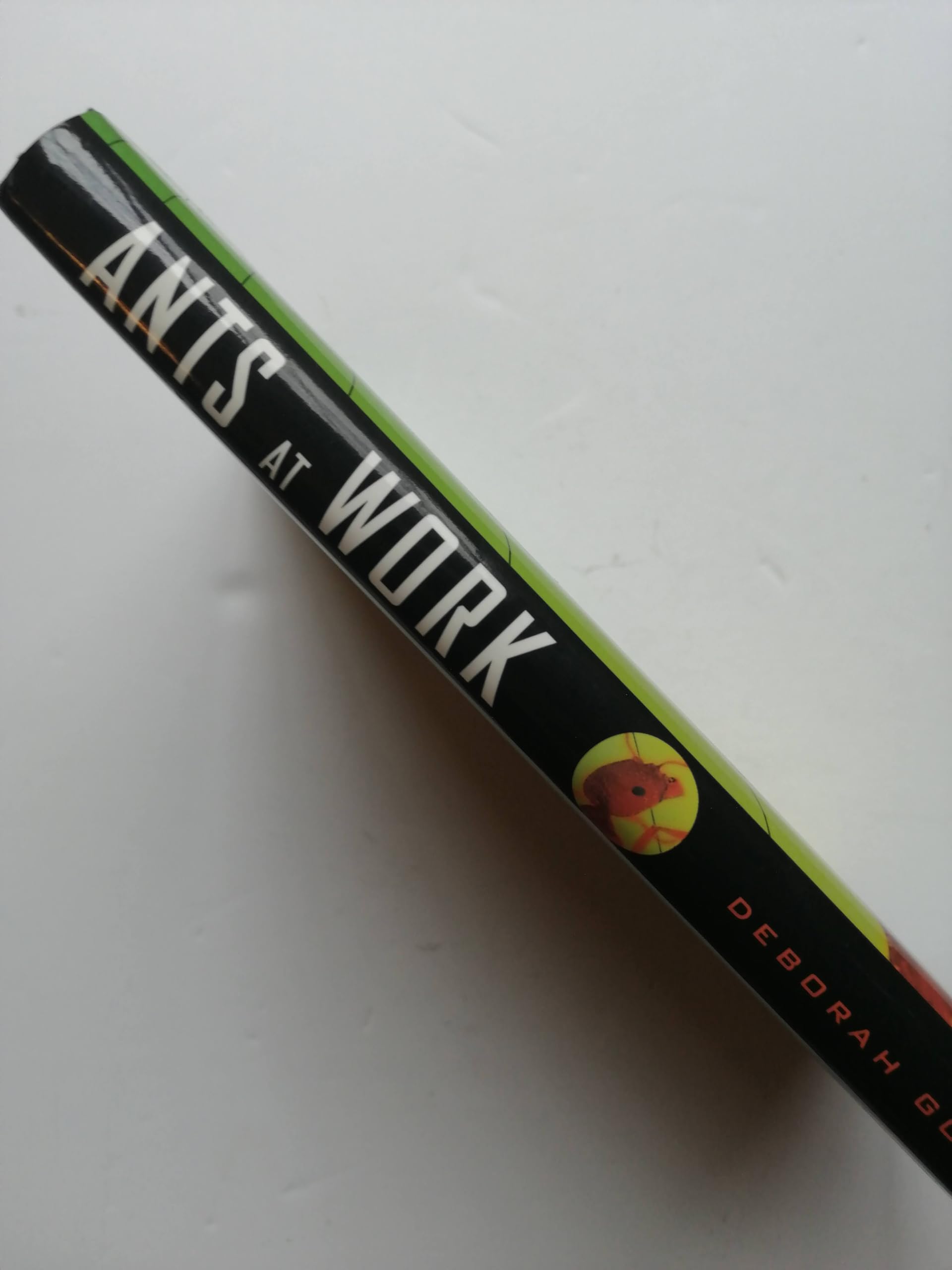 Ants At Work: How An Insect Society Is Organized