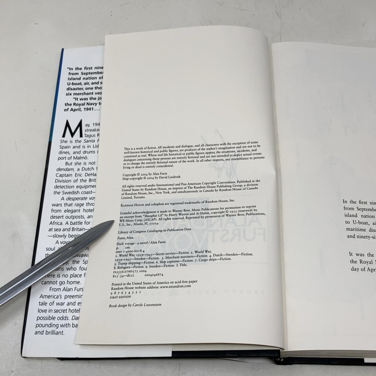 Dark Voyage: A Novel