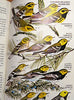 Birds of North America Golden Field Guide from St Martins Press Zim, Herbert S; Robbins, Chandler S; Bruun, Bertel and Singer, Arthur