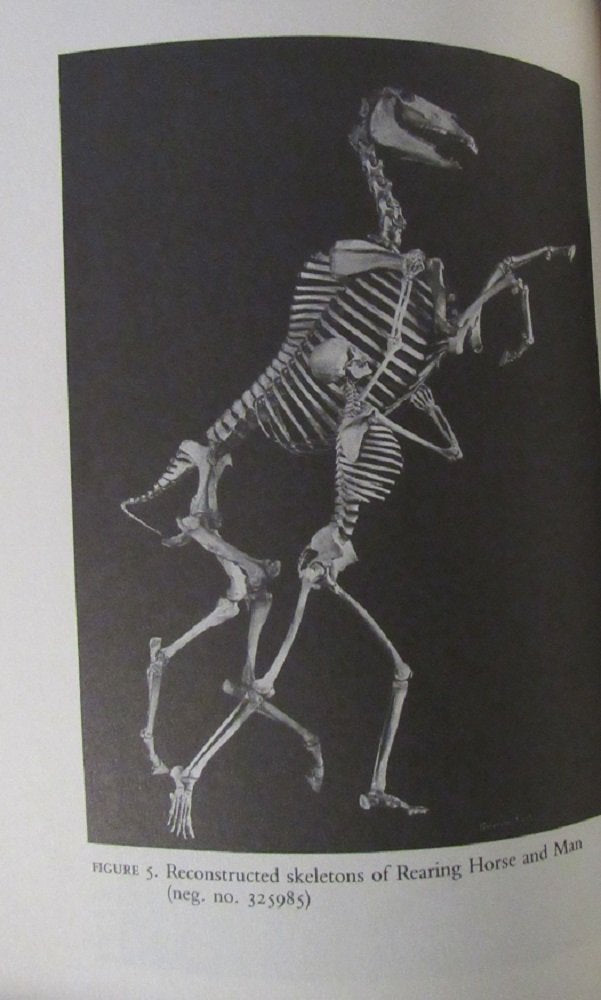 PT06