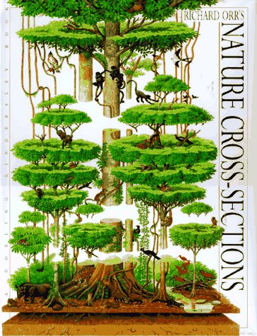 MAIN