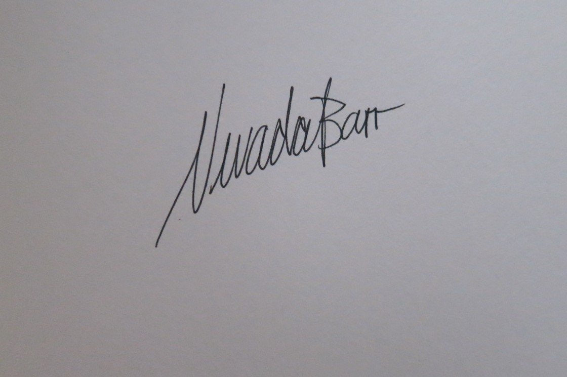 Blind Descent (Anna Pigeon Mysteries)