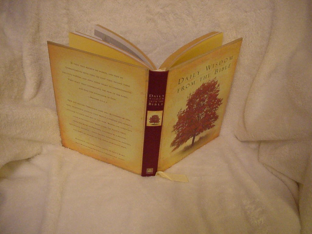 Daily Wisdom from the Bible Devotional Journal