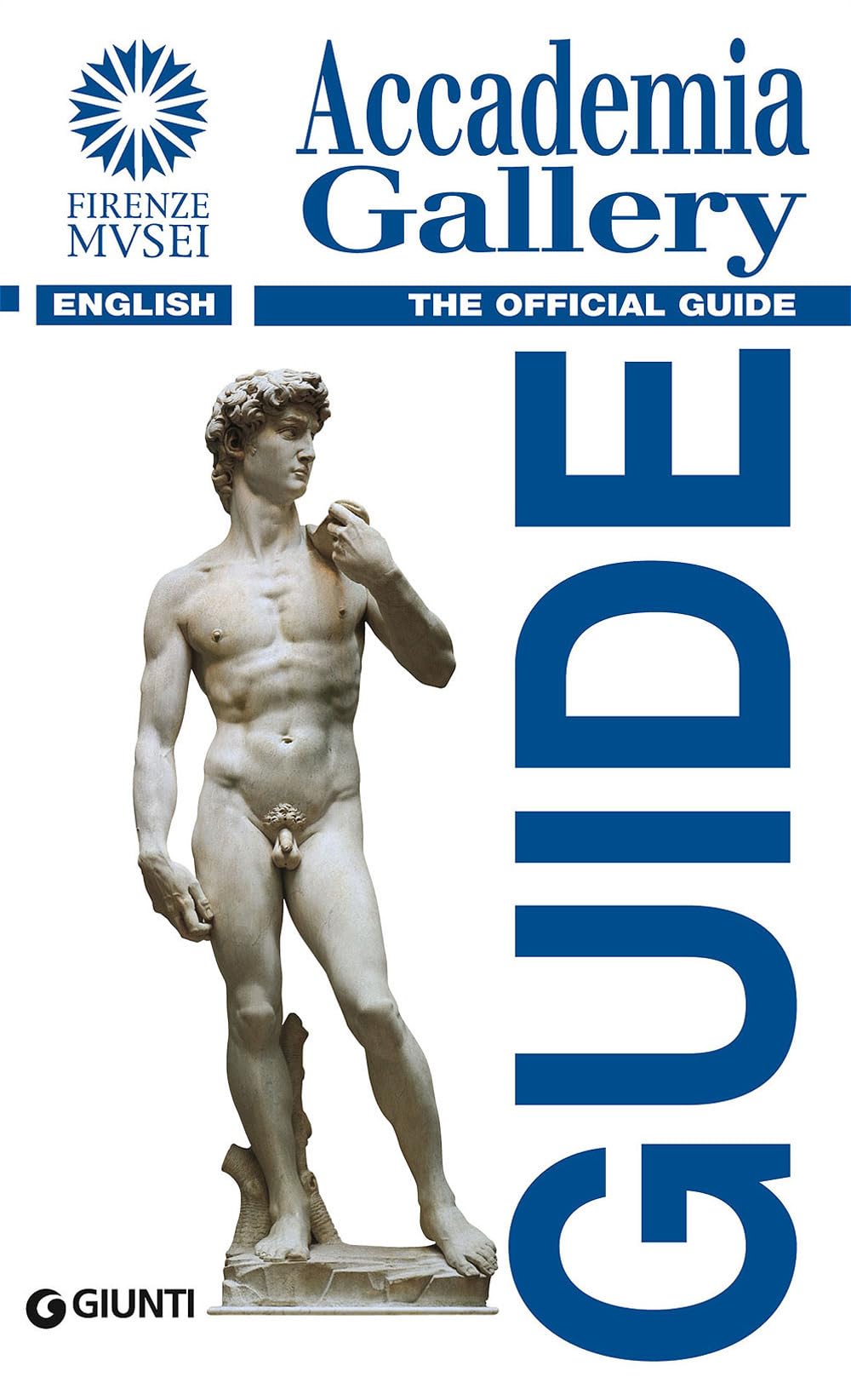 Accademia Gallery: The Official Guide