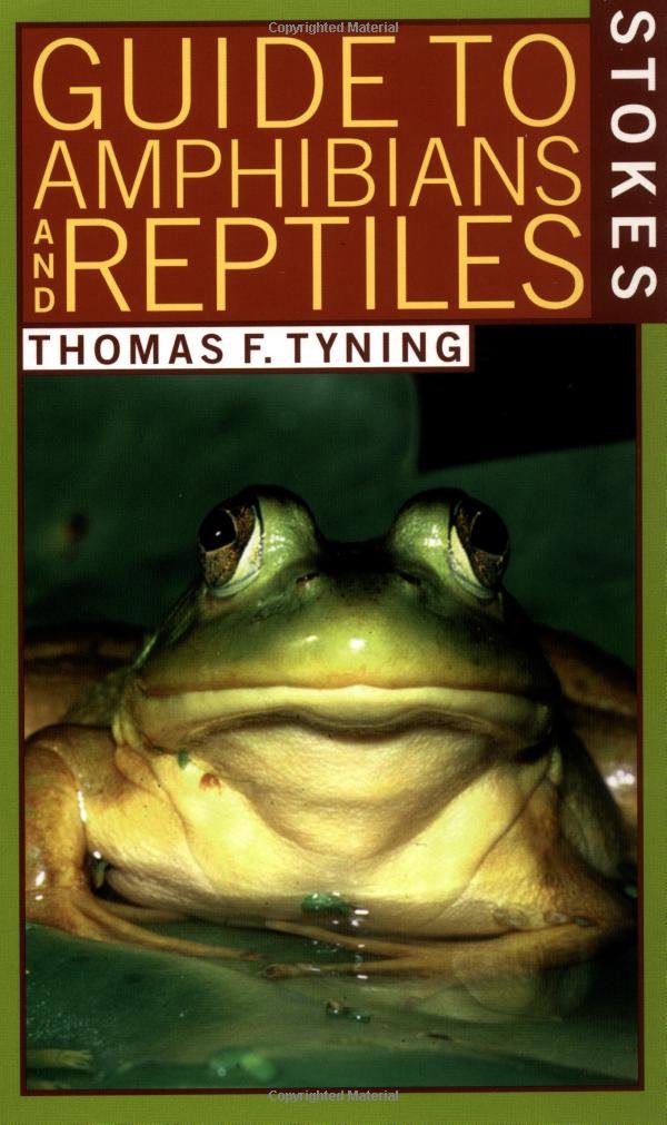 A Guide to Amphibians and Reptiles (Stokes Nature Guides)