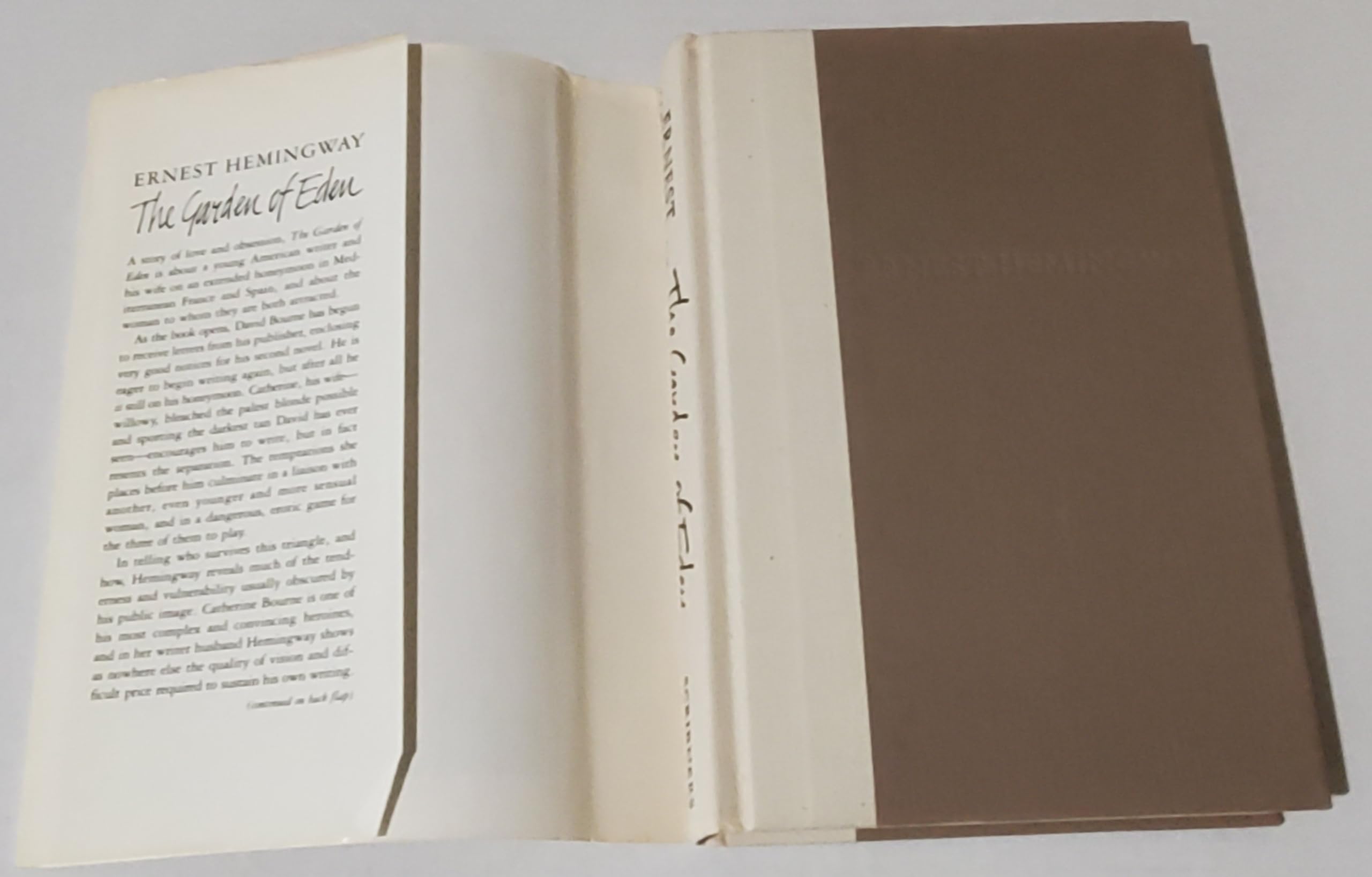 1986 Vtg The Garden of Eden Ernest Hemingway Mediterranean France Spain Setting