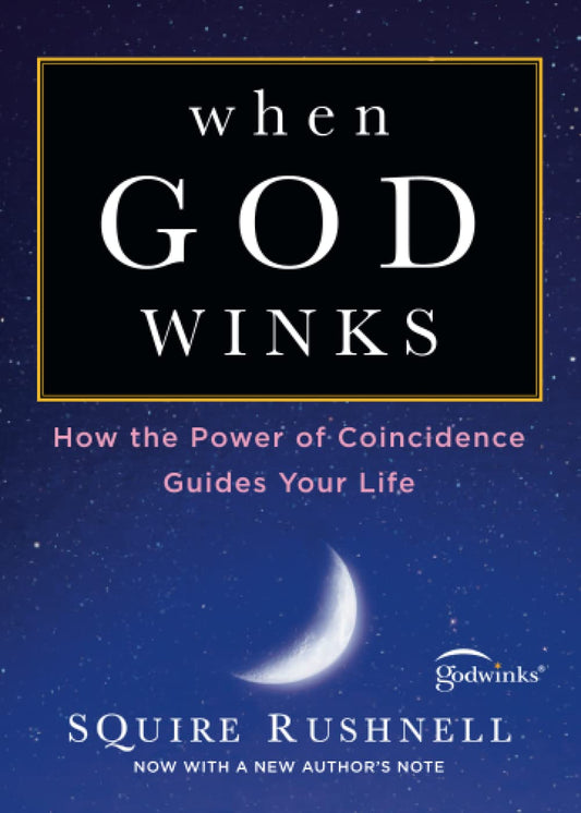 When God Winks: How the Power of Coincidence Guides Your Life The Godwink Series [Paperback] Rushnell, SQuire