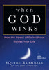 When God Winks: How the Power of Coincidence Guides Your Life The Godwink Series [Paperback] Rushnell, SQuire