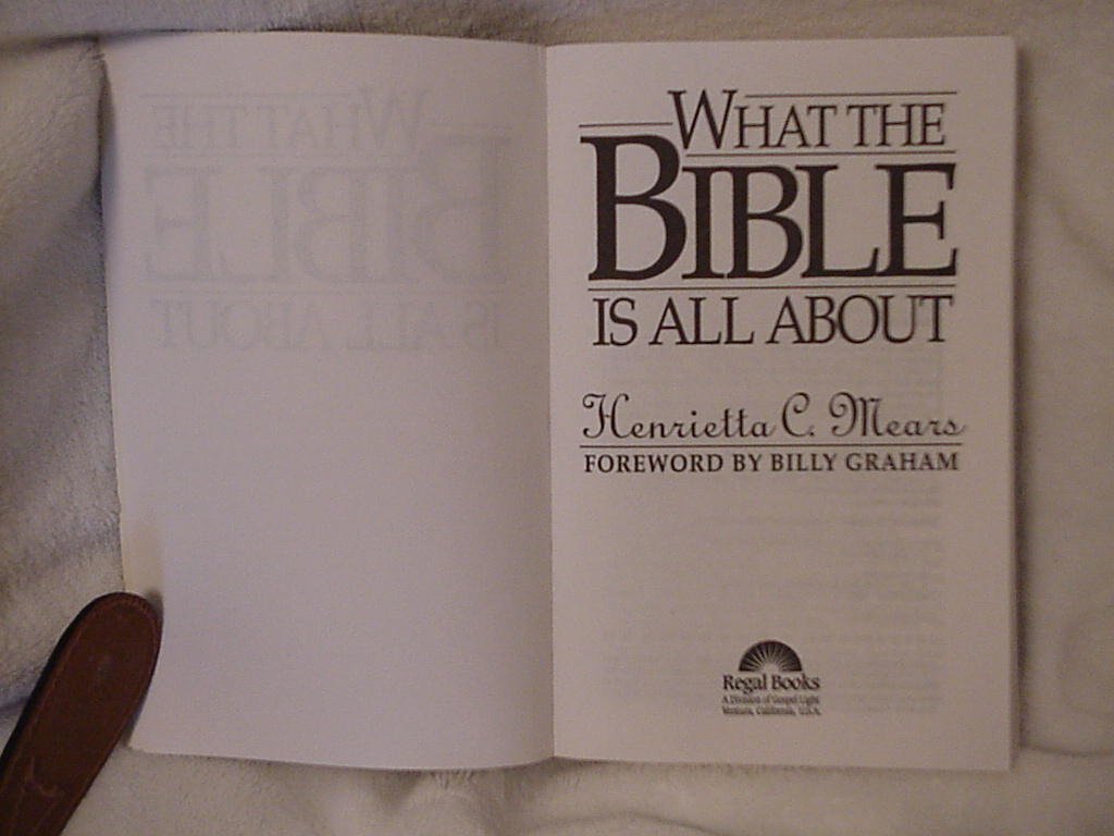 What the Bible Is All About (NIV)