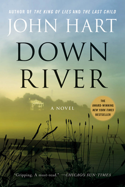Down River [Paperback] Hart, John