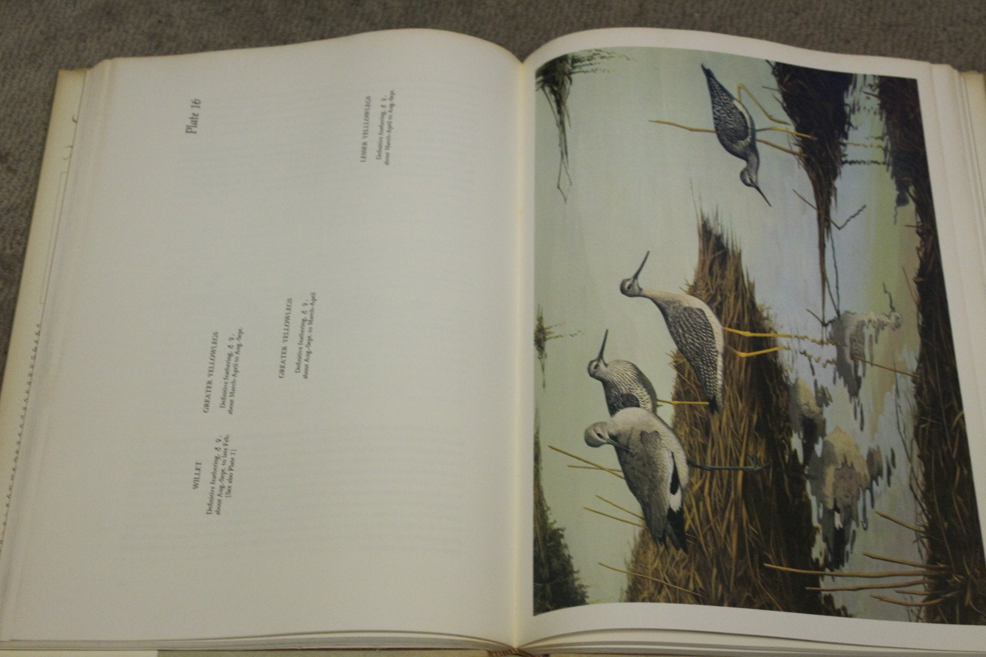 The Shorebirds of North America.