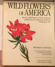 MAIN