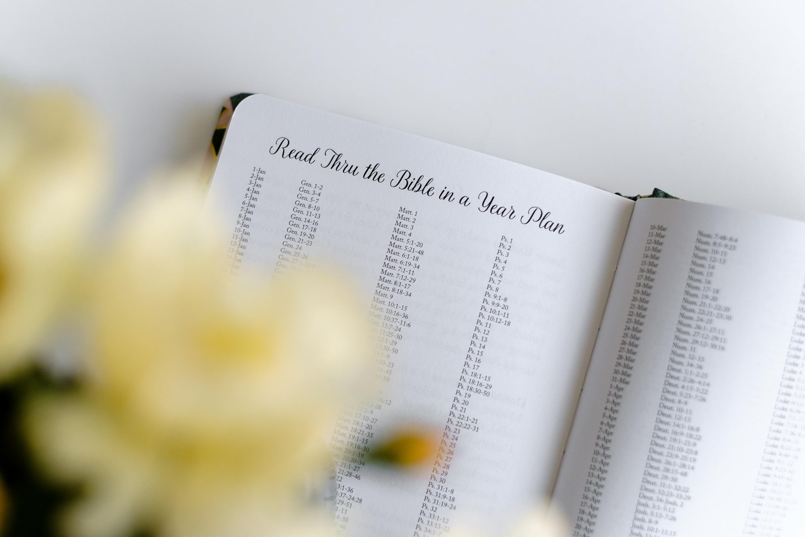 Daily Wisdom for Women 2025 Devotional Collection (Daily Wisdom - Annual Edition)