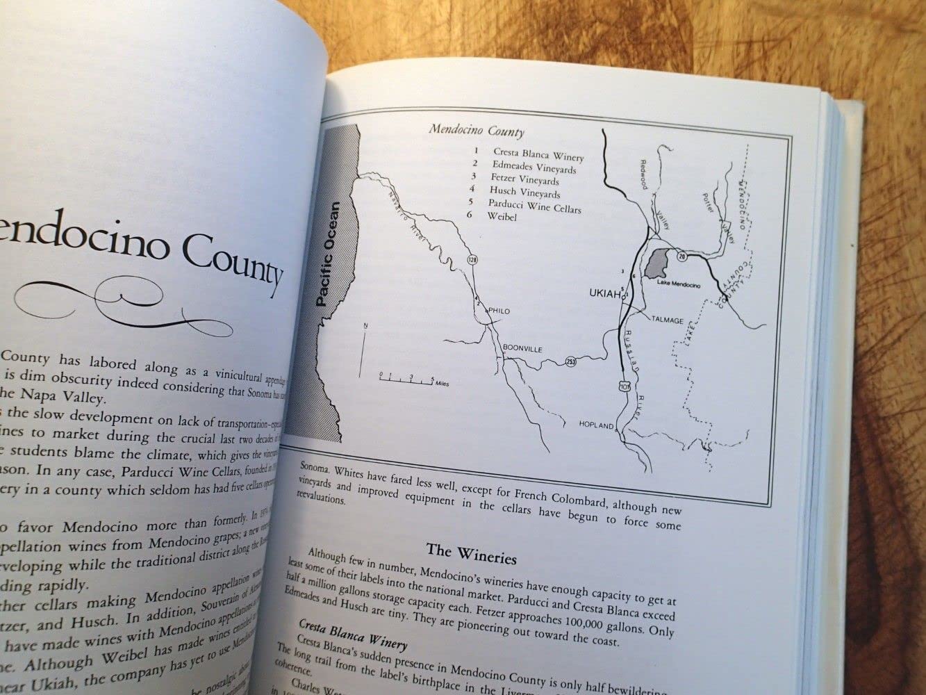 The California Wine Book
