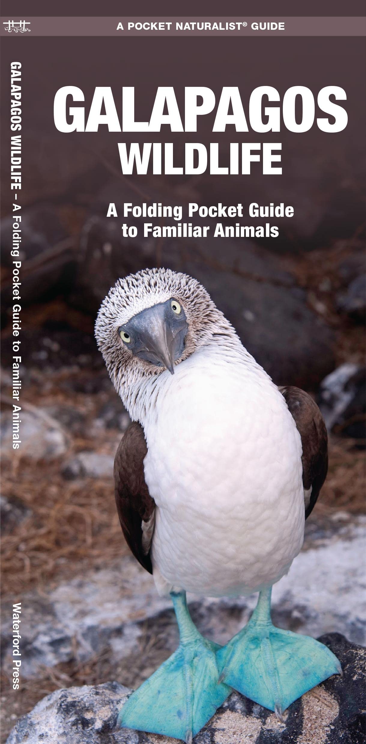 Galapagos Wildlife (Nature Observation International)