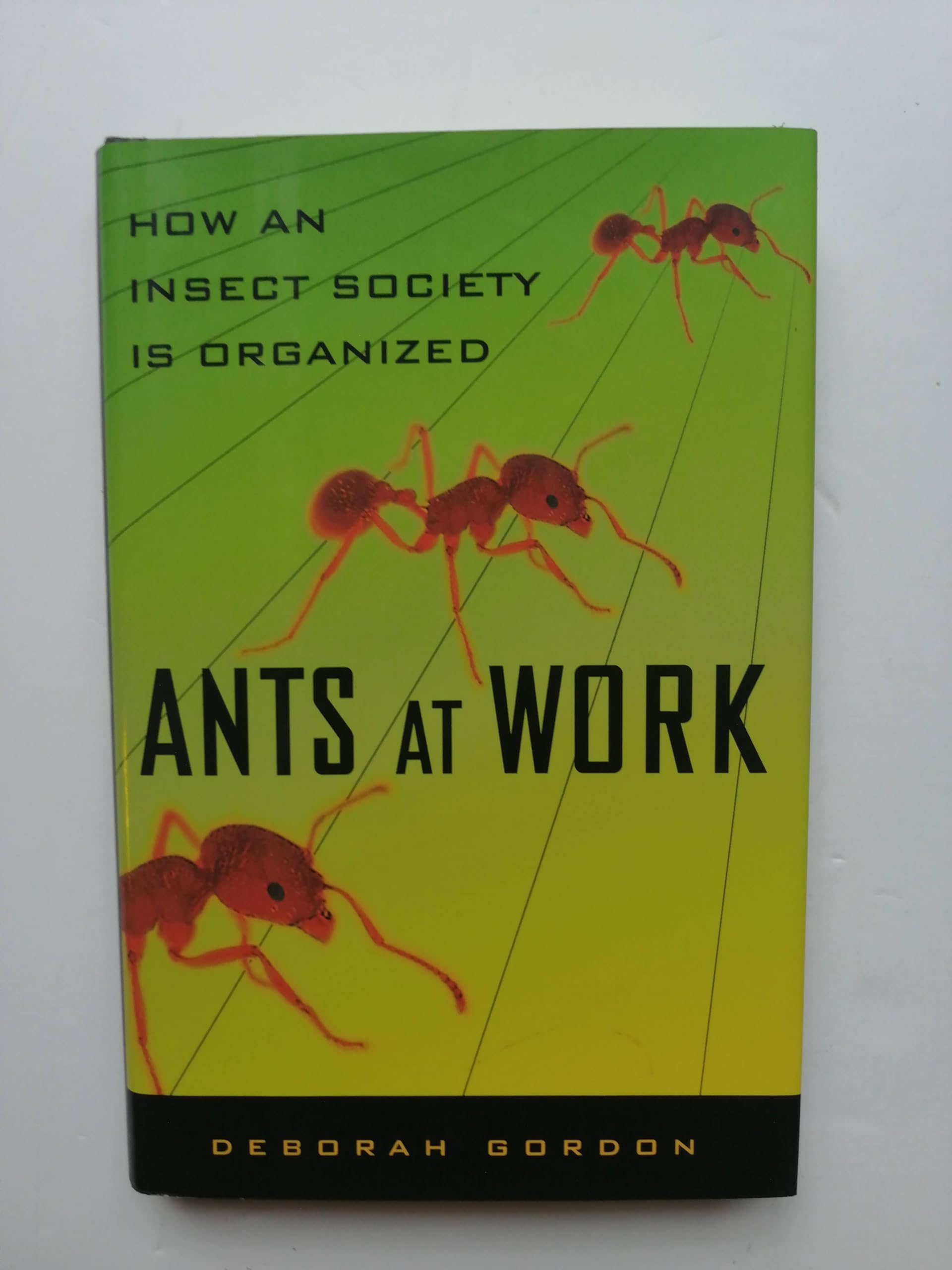Ants At Work: How An Insect Society Is Organized
