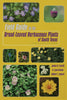 Field Guide to the BroadLeaved Herbaceous Plants of South Texas: Used by Livestock and Wildlife [Paperback] Everitt, James H; Drawe, D Lynn and Lonard, Robert