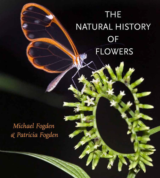 The Natural History of Flowers Gideon Lincecum Nature and Environment Series [Hardcover] Fogden, Michael and Fogden, Patricia
