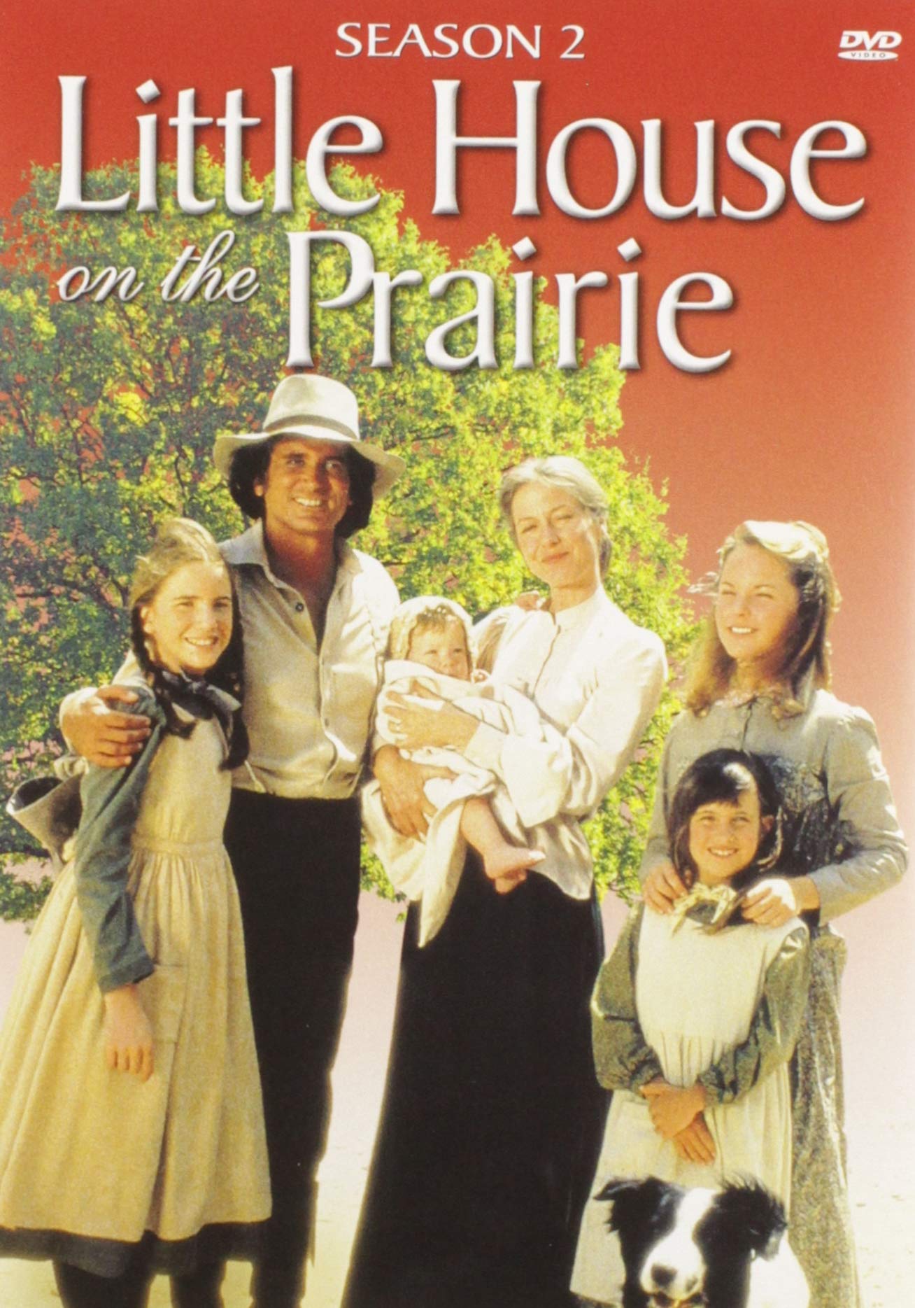 MAIN