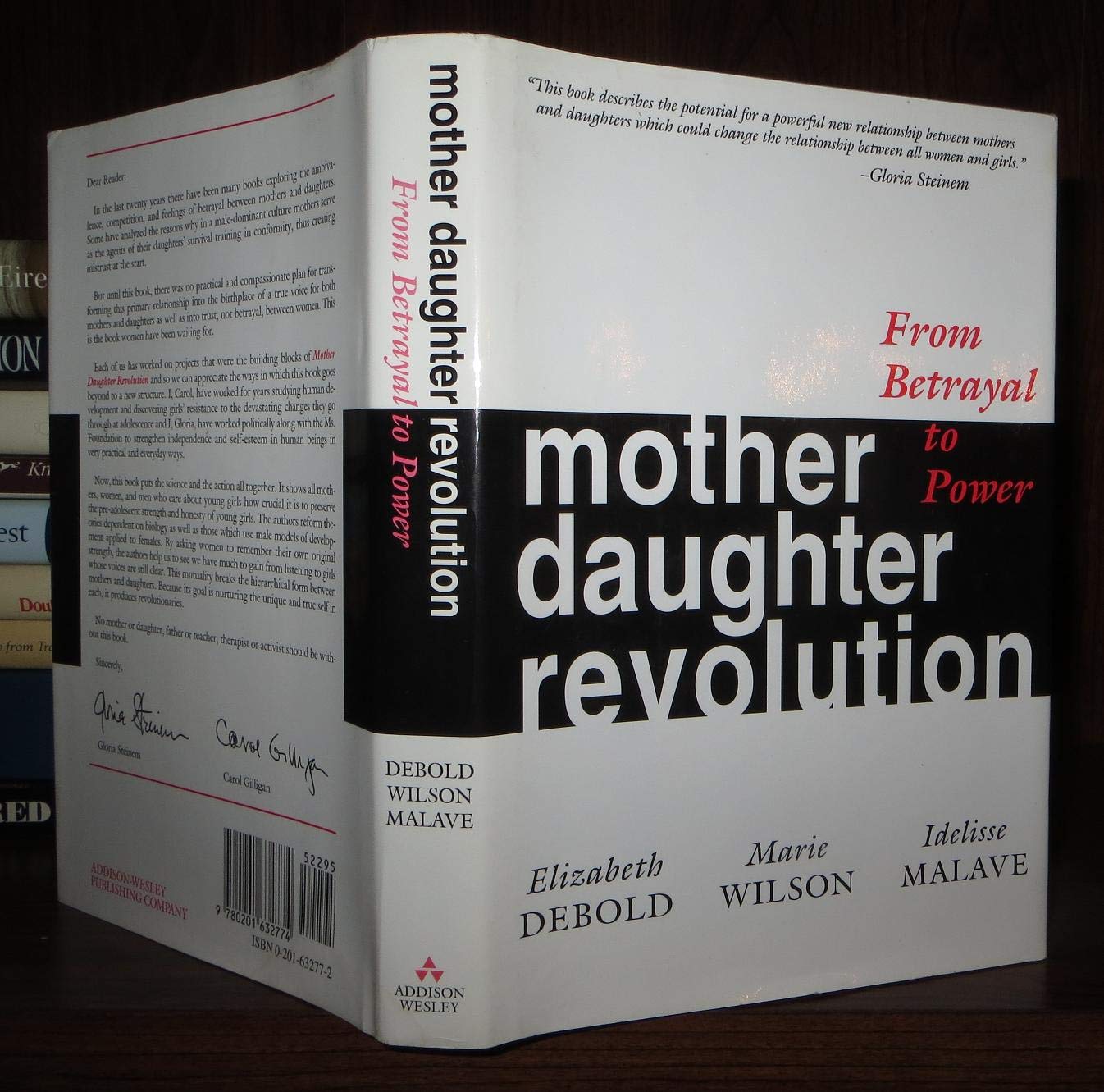 Mother Daughter Revolution: From Betrayal To Power