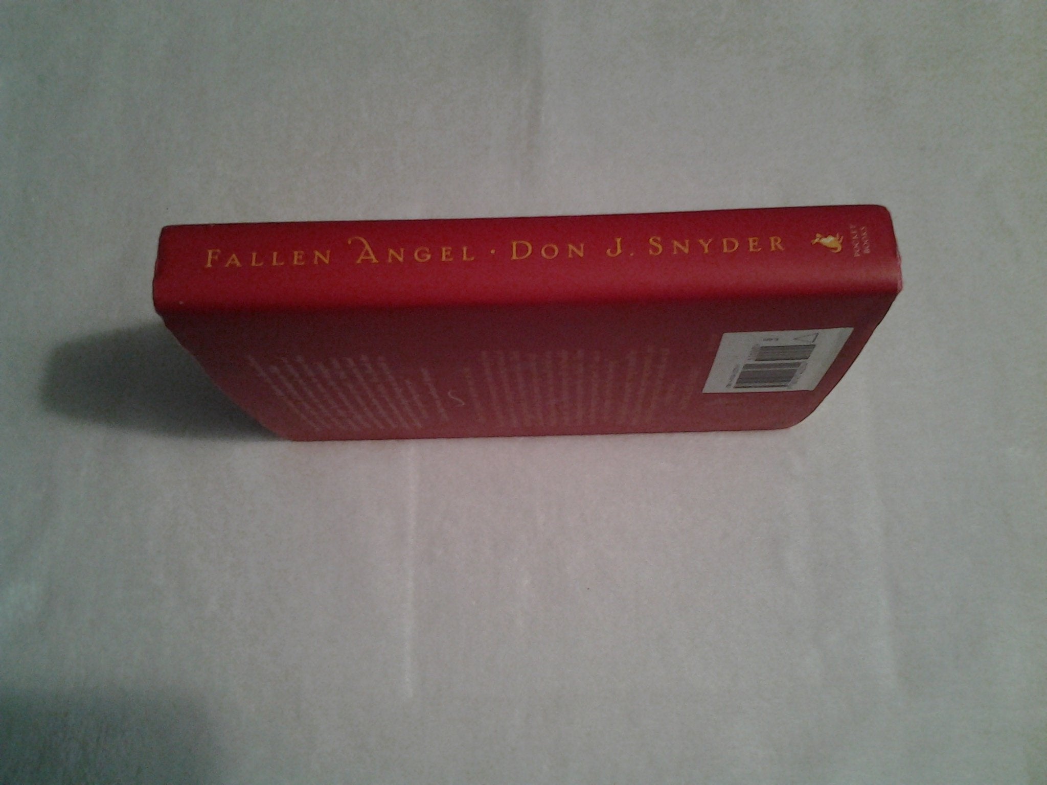 Fallen Angel: A Novel
