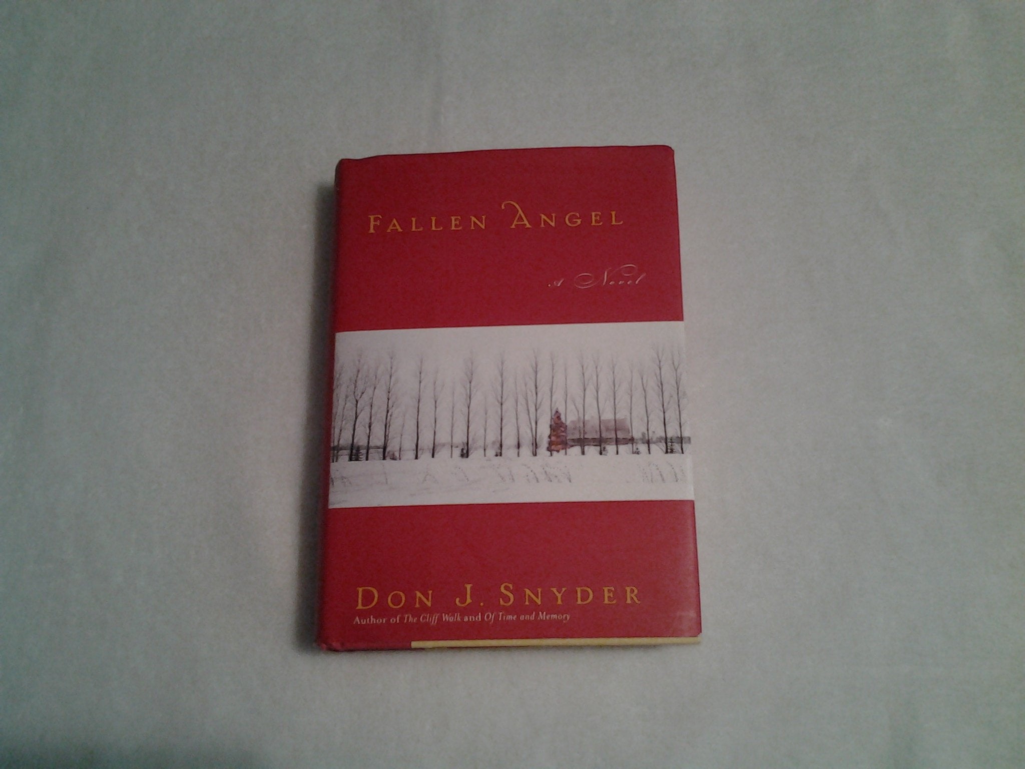 Fallen Angel: A Novel