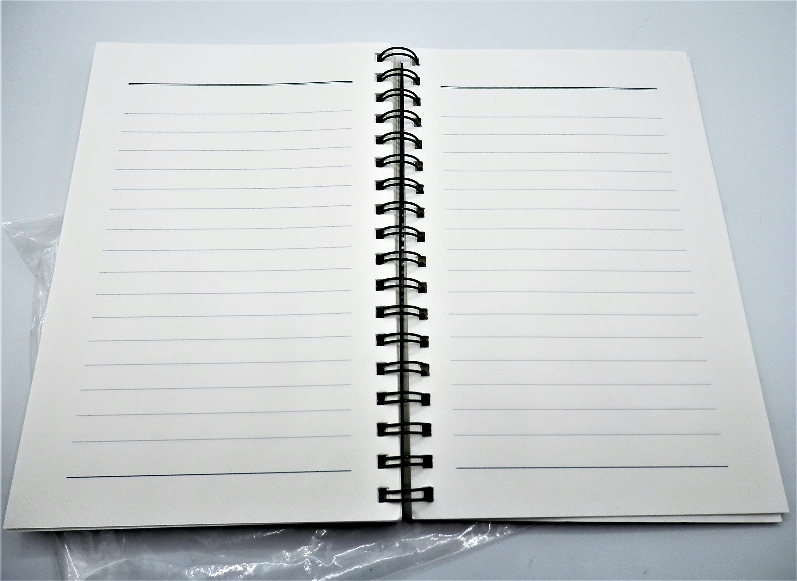 The Journal of Daily Renewal: The Companion to Make the Connection