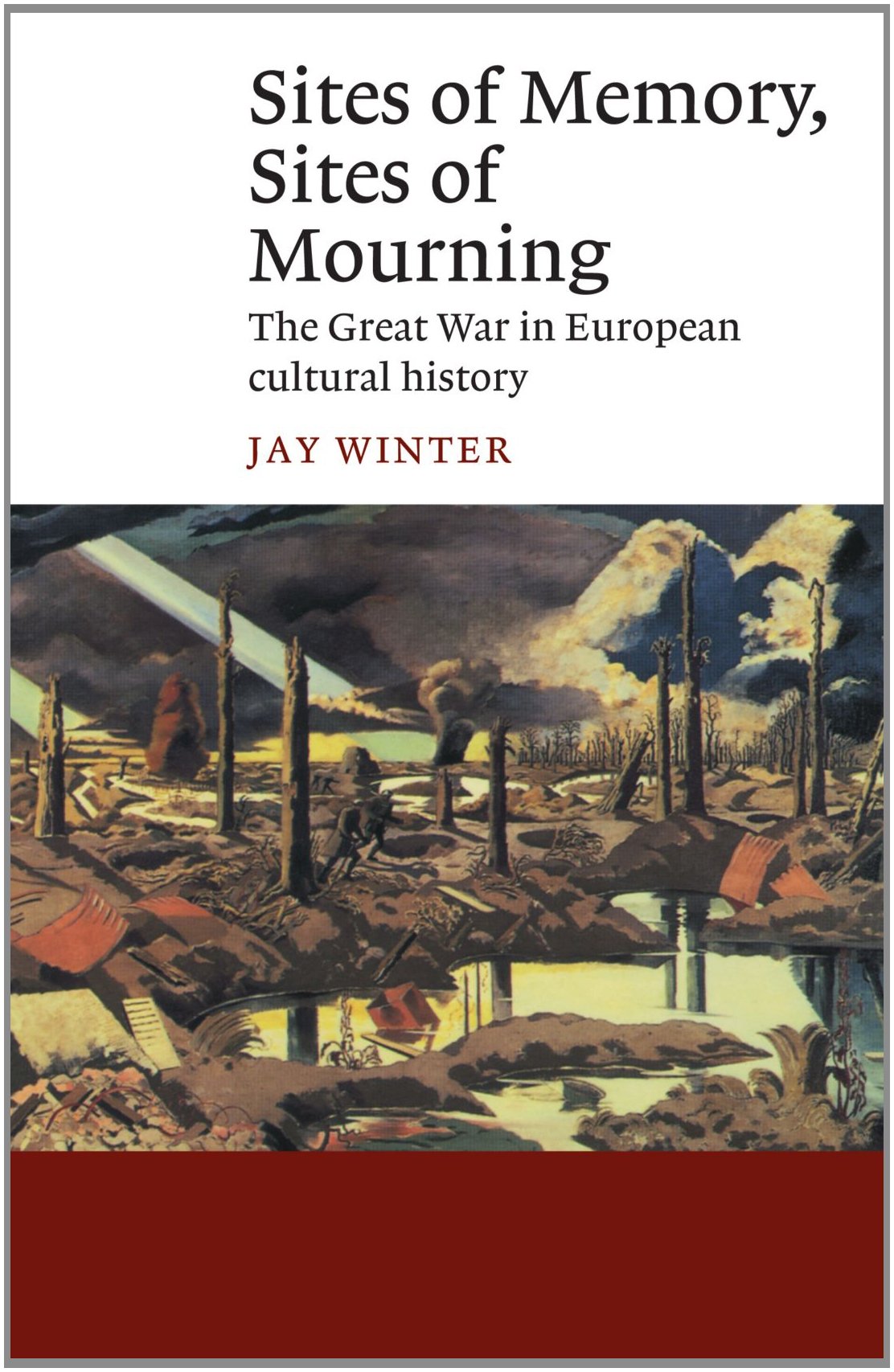 Sites of Memory, Sites of Mourning: The Great War in European Cultural History (Canto)