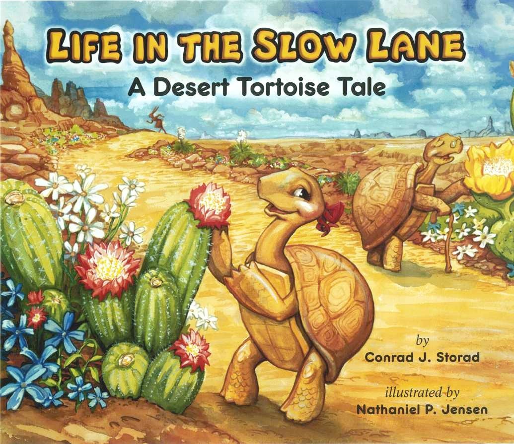 Life Slow Lane: Desert Tortoise Tale
