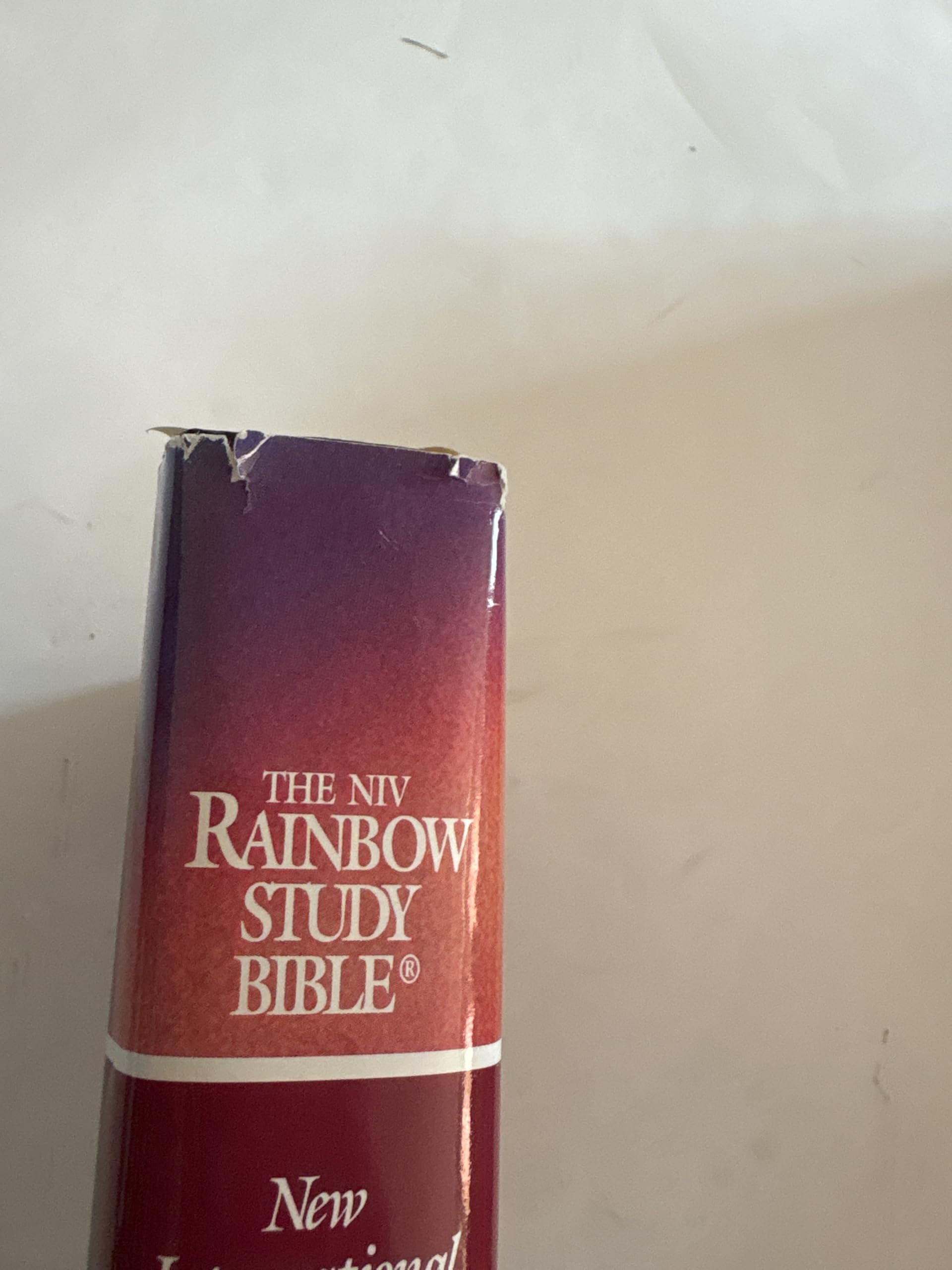 New International Version Rainbow Study Bible/Burgundy